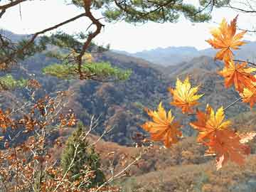 北京k10飞艇免费平台
